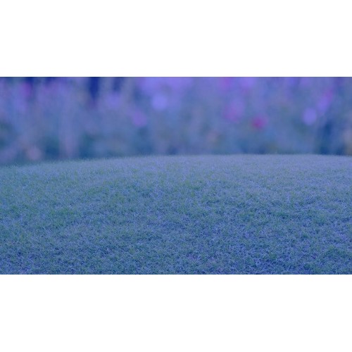 Logiciels paris sportifs