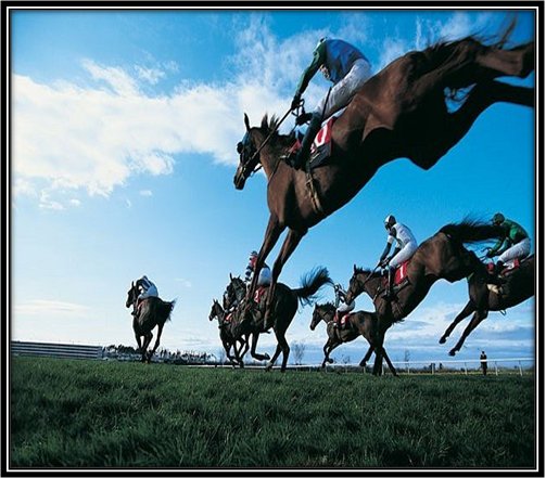 la méthode pour le cheval gagnant zeshow placé ou zecouillon  course par course au turf du pmu