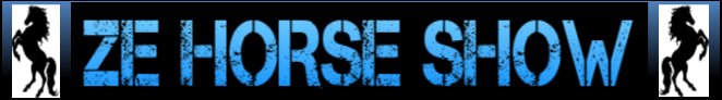 logiciel ZE HORSE SHOW paris hippiques
