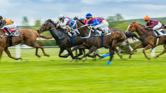 LOGICIELS PARIS  HIPPIQUES